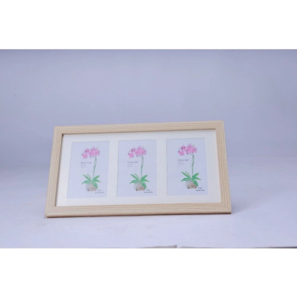 Generic Acrylic Cactus Image Frame (Multicolor)