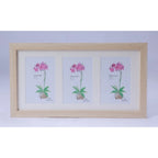 Generic Acrylic Cactus Image Frame (Multicolor)