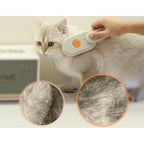 Generic Pack of 2 Pet Brush (Multicolor)